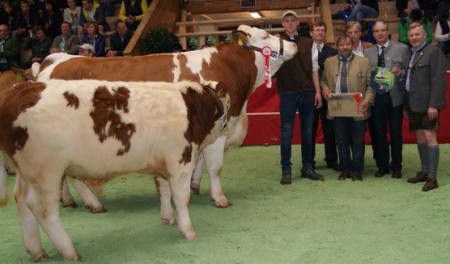 Bundessiegerin 2016    Kuh Gunna pp mit Kalb KW Dino Pp*